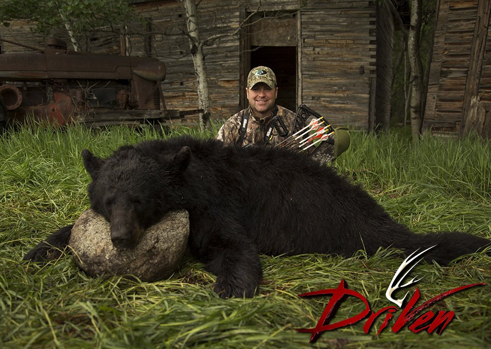 Pat's Saskatchewan black bear